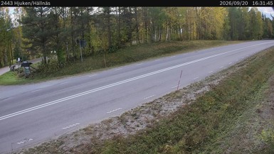 Bild från vägkamera: Hjuken/Hällnäs (väglagskamera)
