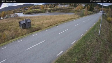 Bild från vägkamera: Ammarnäs (väglagskamera)