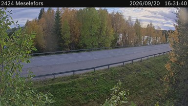 Bild från vägkamera: Meselefors (väglagskamera)