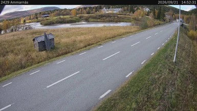Bild från vägkamera: Ammarnäs (väglagskamera)
