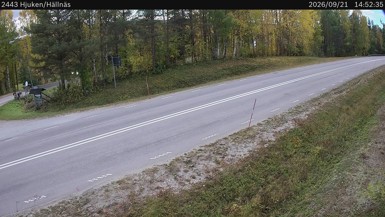 Bild från vägkamera: Hjuken/Hällnäs (väglagskamera)