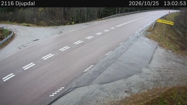 Bild från vägkamera: Djupdal (väglagskamera)