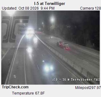 Photo from camera: I-5 at Terwilliger