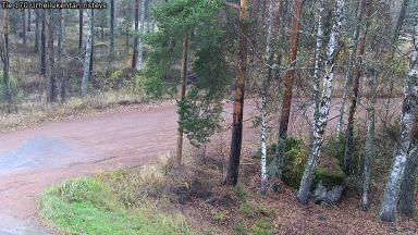 Urheilukentän risteys, Tienpinta, 8.10.2026 klo 13.44
