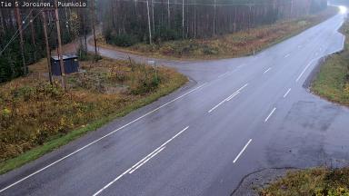 Puunkolo, Mikkeliin, 8.10.2026 klo 13.01