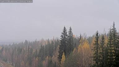 Vestonmäki, Maisema, 8.10.2026 klo 13.42