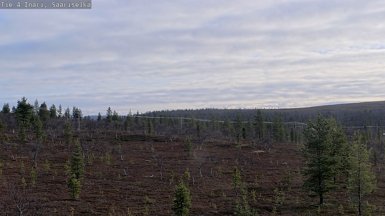 Kelikamera Inari, Saariselkä, Kaunispää, maisema2